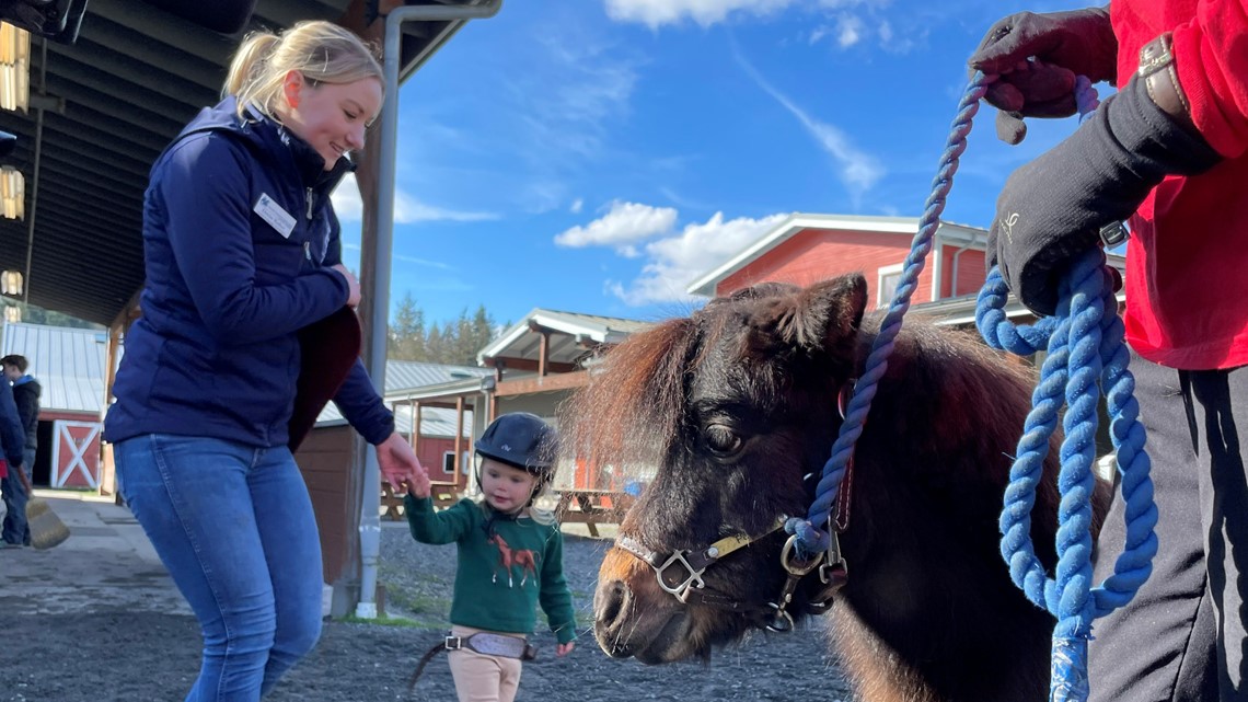 Horse Therapy helps little girl with autism communicate [Video]