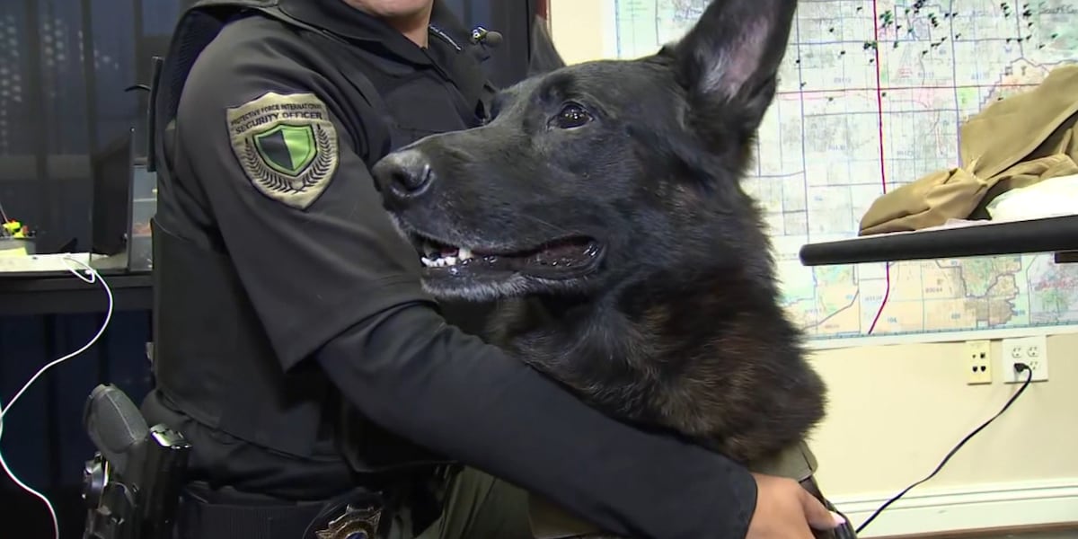 A look at how first aid is rendered for Las Vegas K9s on the job [Video]