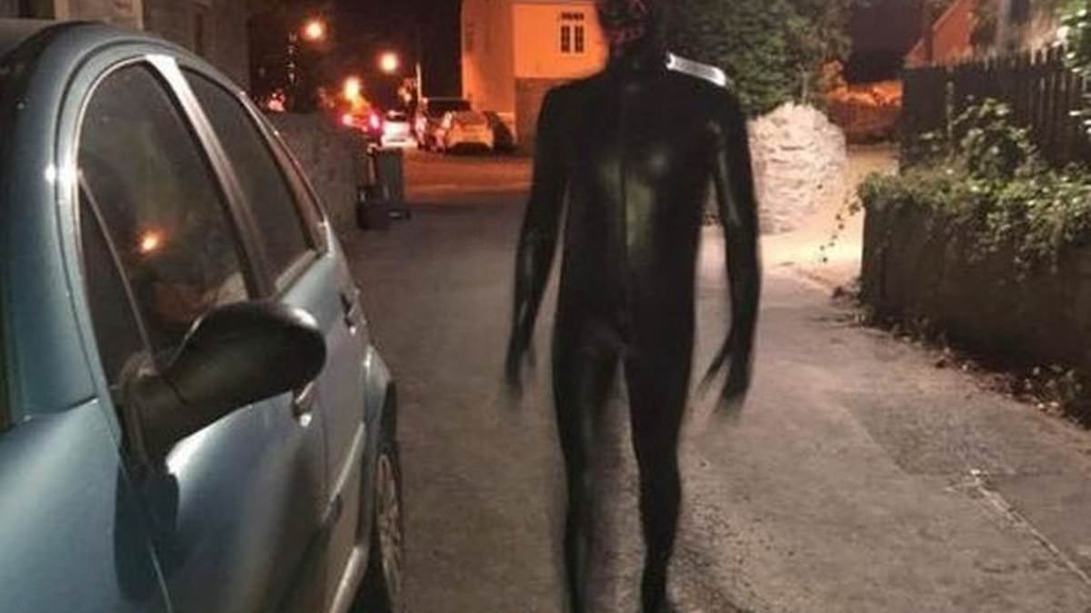 Now it’s the Suffolk gimp! Masked man is hunted by police for terrifying women and girls after different gimps struck out in Somerset, Gloucester, Essex and Surrey in unrelated incidents [Video]