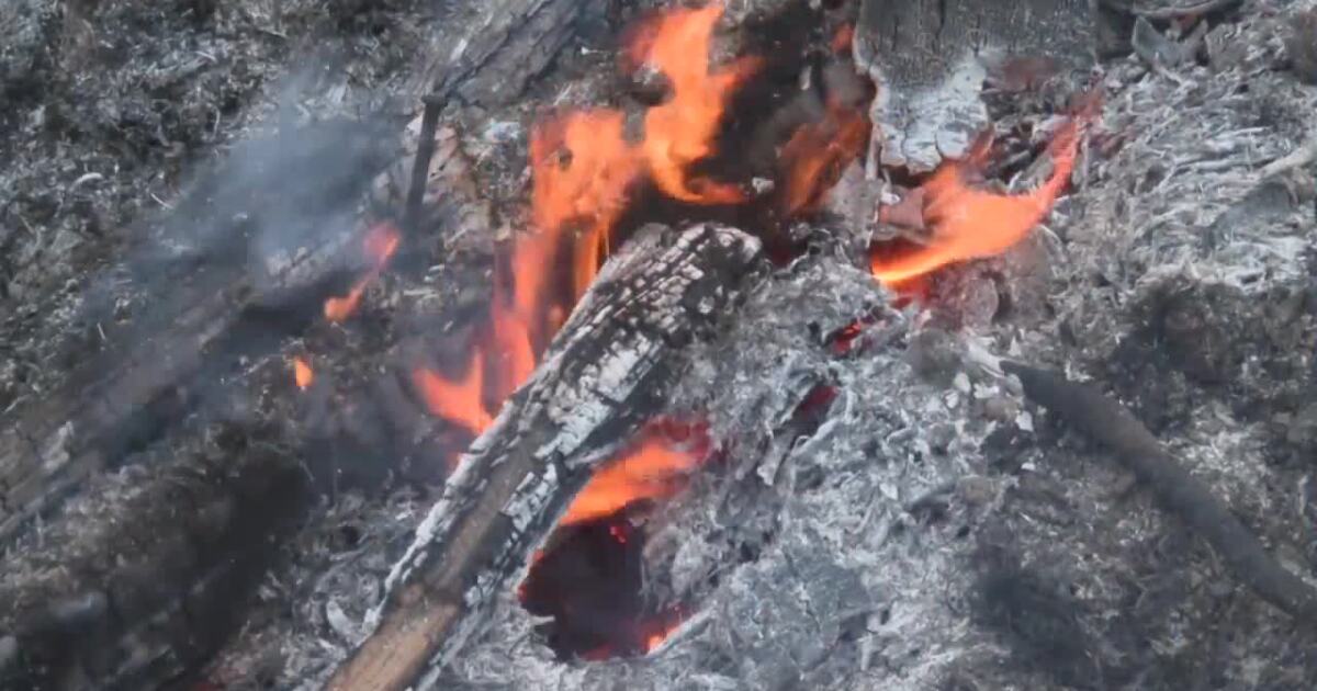 What to know before burning brush [Video]