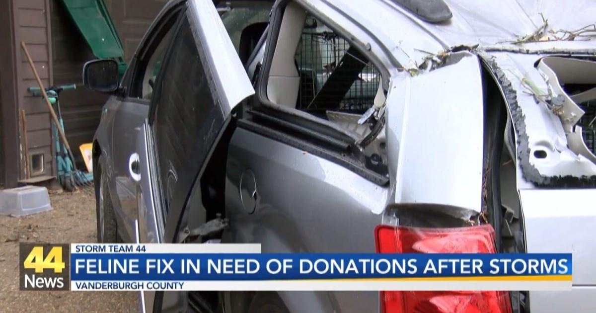 Local nonprofit in need of help following storms | Video