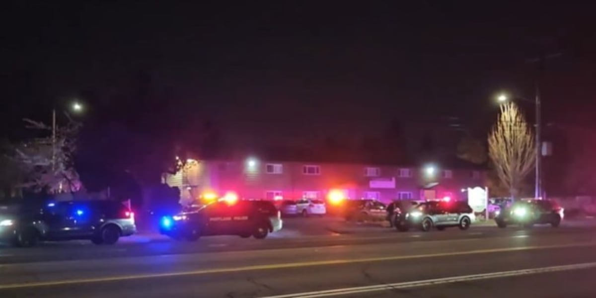 Pregnant woman, man stabbed in Portland domestic violence assault [Video]
