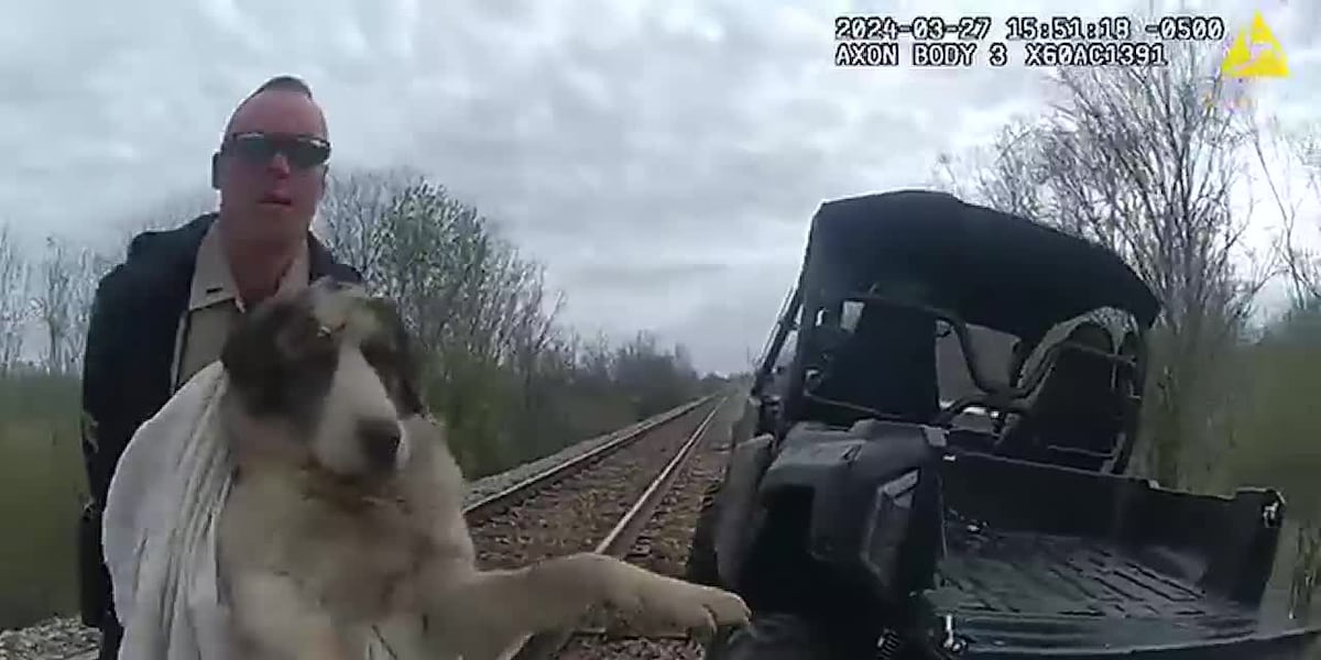 Officers carry dog off tracks days after it was injured by a train [Video]