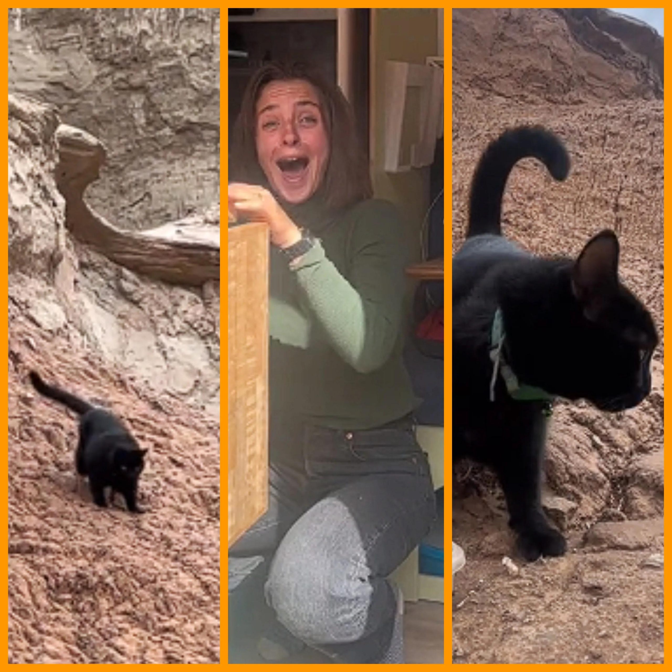 Daredevil Disabled Cat Climbs up a Canyon Wall, and Now Theres Only One Thing for Her Humans to Do [Video]
