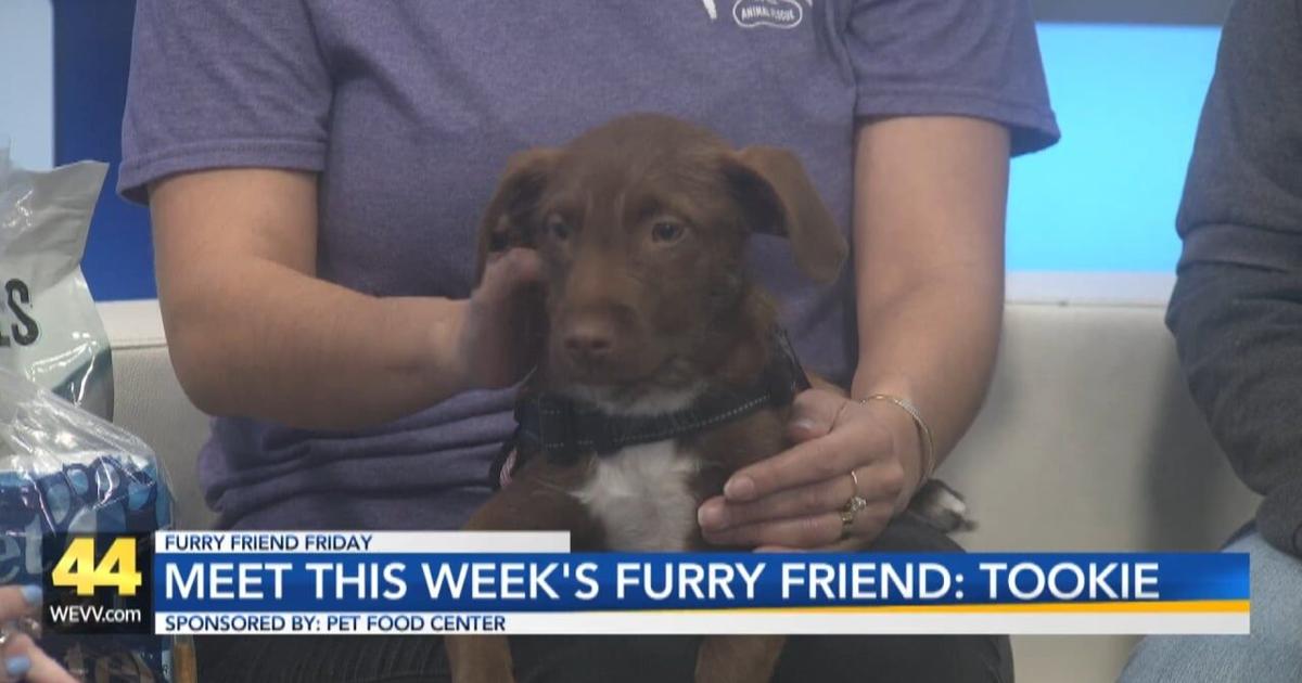Furry Friend Friday: Meet Tookie | Video