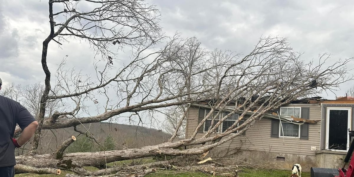 No federal or state assistance for tornado relief, Morgan County says [Video]