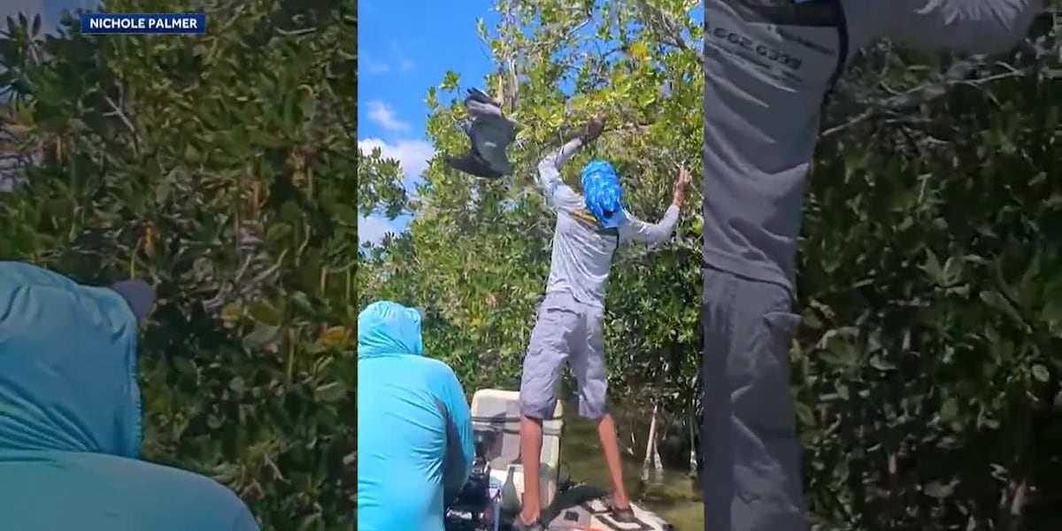 Group of nature lovers rescue blue heron tangled in fishing line [Video]