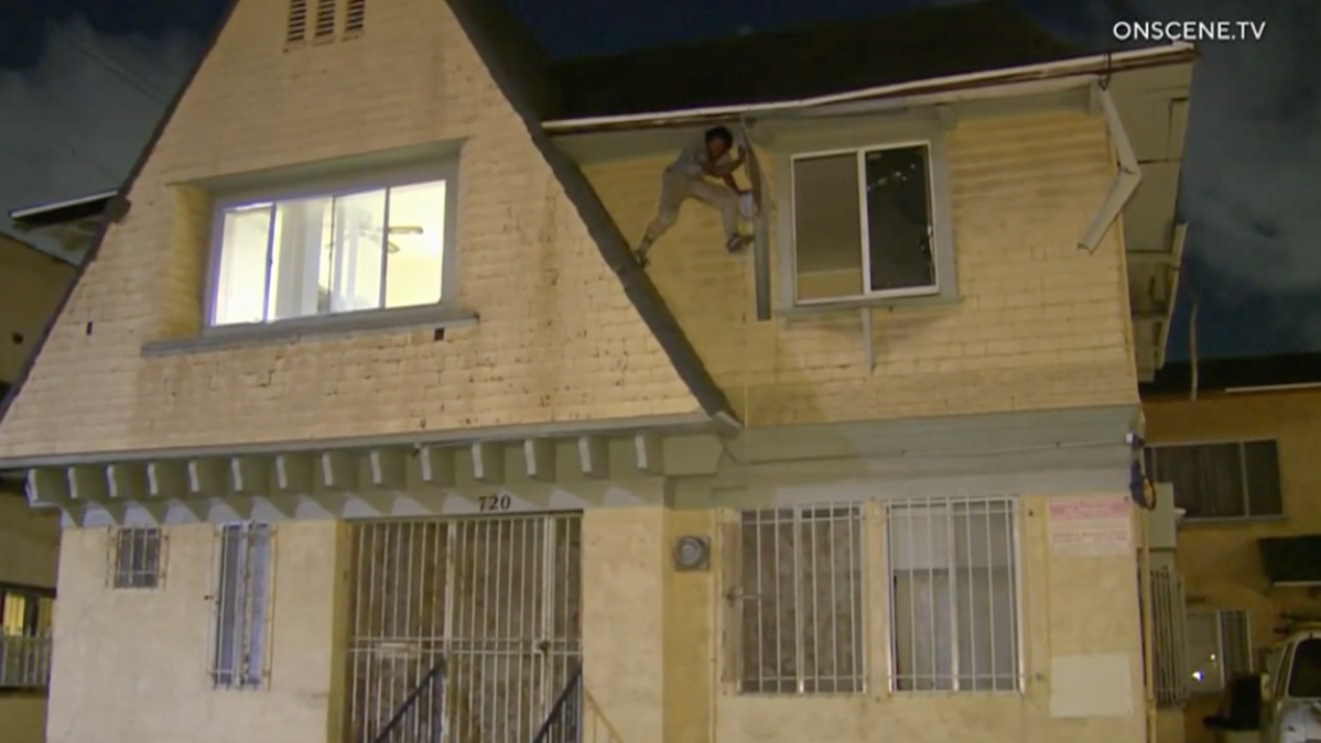 House fire turns into hours-long standoff in South LA  NBC Los Angeles [Video]