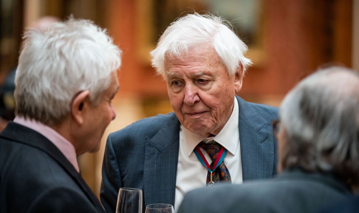 David Attenborough recalls losing his beloved wife Jane – The anchor had gone | TV & Radio | Showbiz & TV [Video]