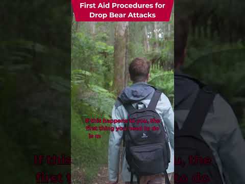 First aid advice for drop bear attacks [Video]