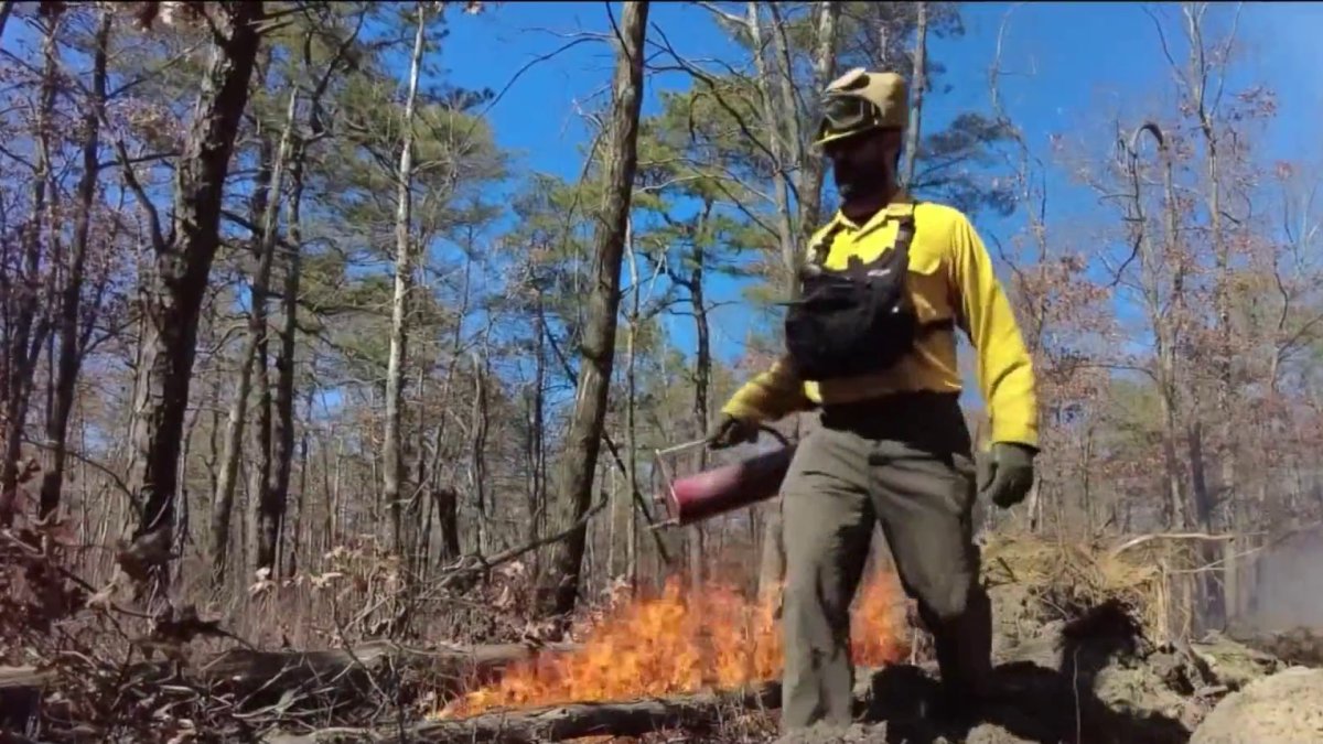 DEP updates on peak brush fire season and new tool  NBC New York [Video]