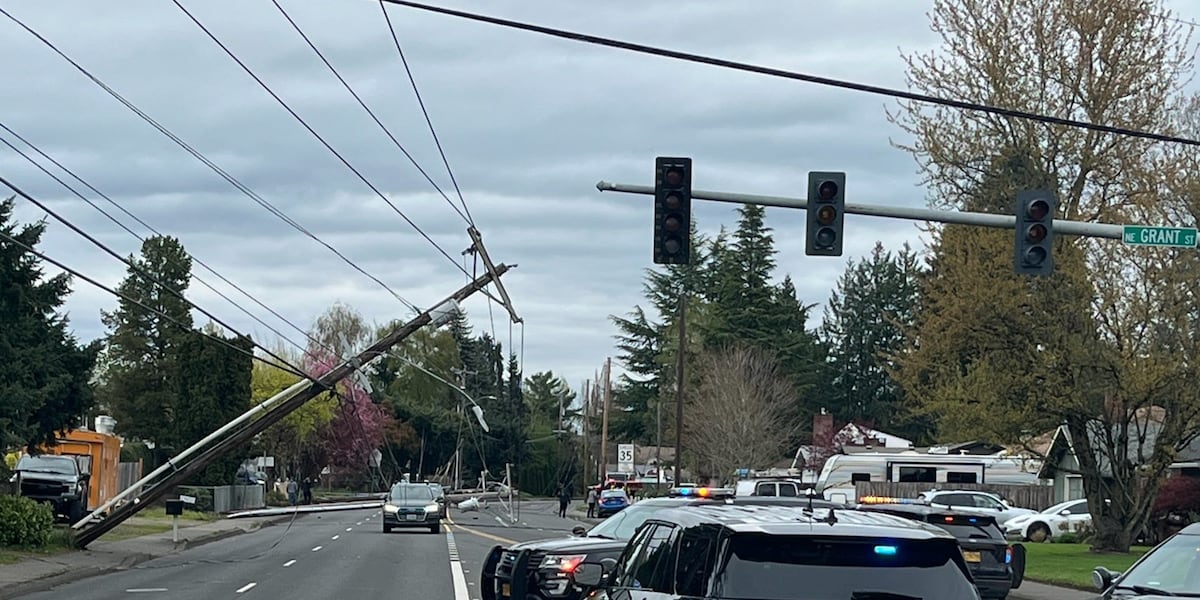 Car crash downs powerlines, NE Cornell Road reopens [Video]