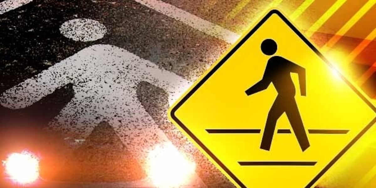 Pedestrian hit, killed by vehicle in Spartanburg [Video]
