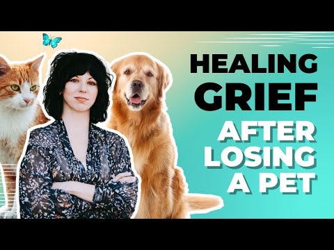 Healing Grief After Losing a Pet: Tips for HSPs and Mental Health [Video]