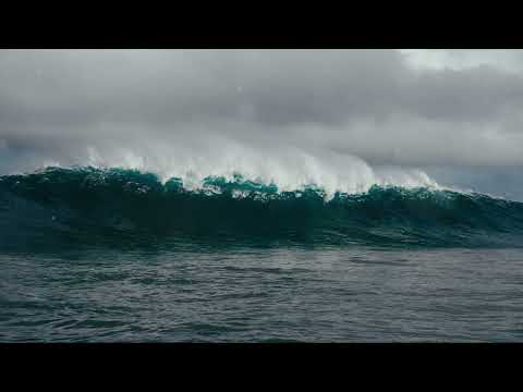 The Uncharted Territory of Grief: Understanding the Waves [Video]
