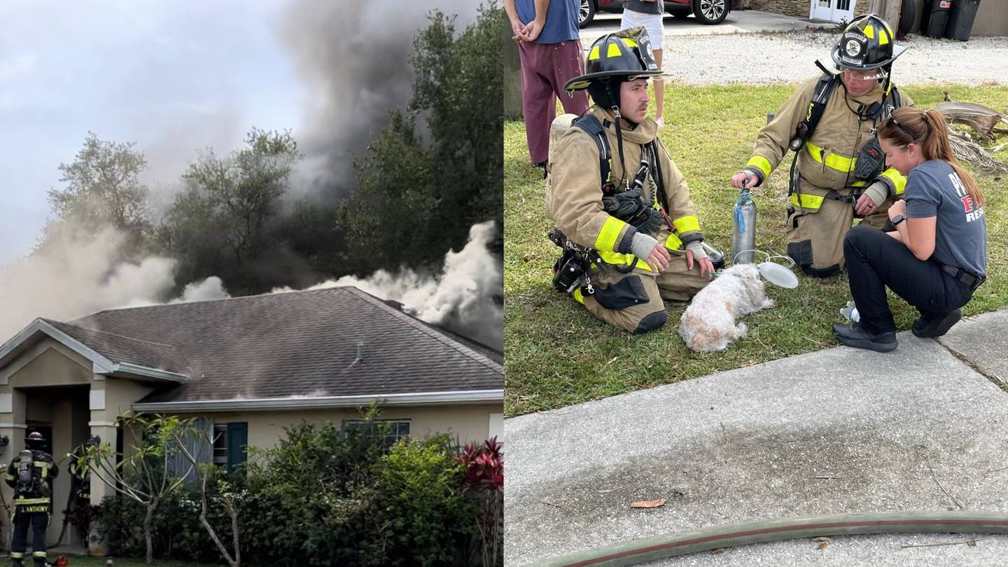 Crews rescue 2 dogs in Palm Bay house fire  WFTV [Video]
