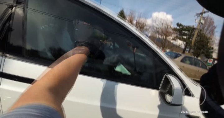 B.C. driver so engaged with their phone, they didnt notice police for 15 seconds – BC [Video]