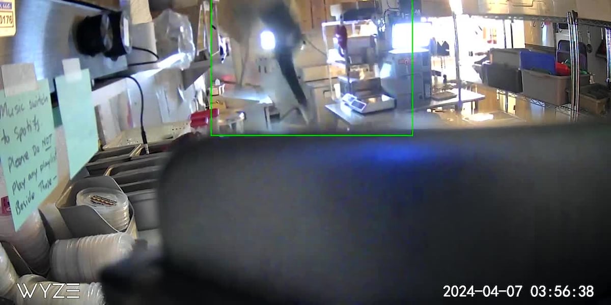 Burglar falls through ceiling of NW Portland business [Video]