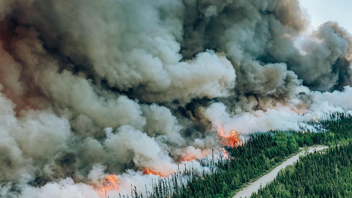 Canada is at risk of another round of devastating wildfires like the blazes that choked America last summer – as warm, dry winter gives way to hot spring season ahead [Video]