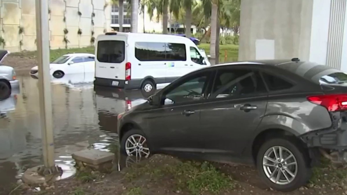 How to protect cars from natural disasters  NBC 6 South Florida [Video]