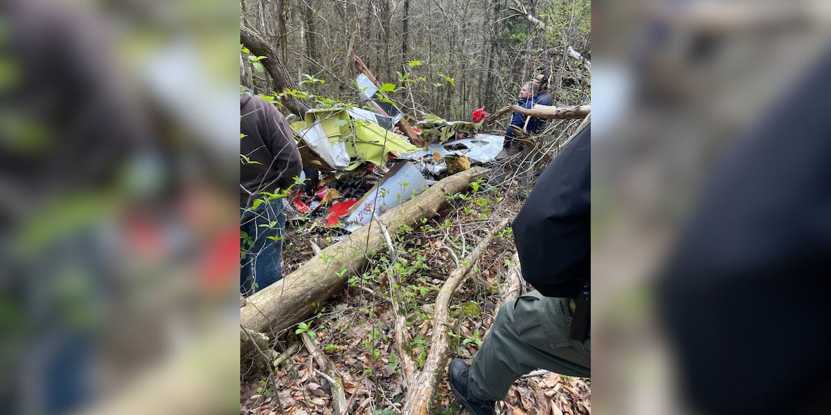 FAA and NTSB to lead Anderson County plane crash investigation [Video]