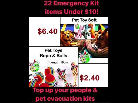22 Emergency Kit Items Under $10 – top up your People & Pet Evacuation Kits Today! [Video]