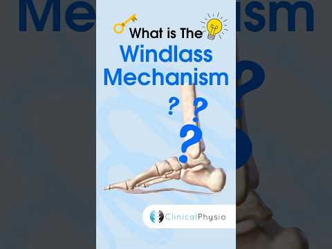 Windlass Mechanism [Video]