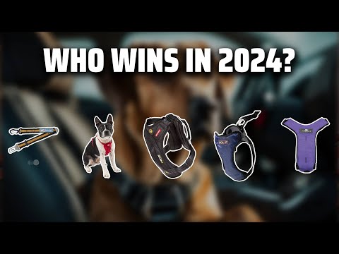 The Best Dog Seat Belts in 2024 – Must Watch Before Buying! [Video]
