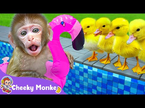 Swimming Song 🏊 Water Safety Song | Cheeky Monkey – Nursery Rhymes & Kids Songs [Video]
