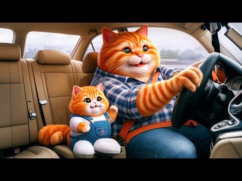 Sad Cat Story | The cat got an accident to break the bridge😿💔| [Video]
