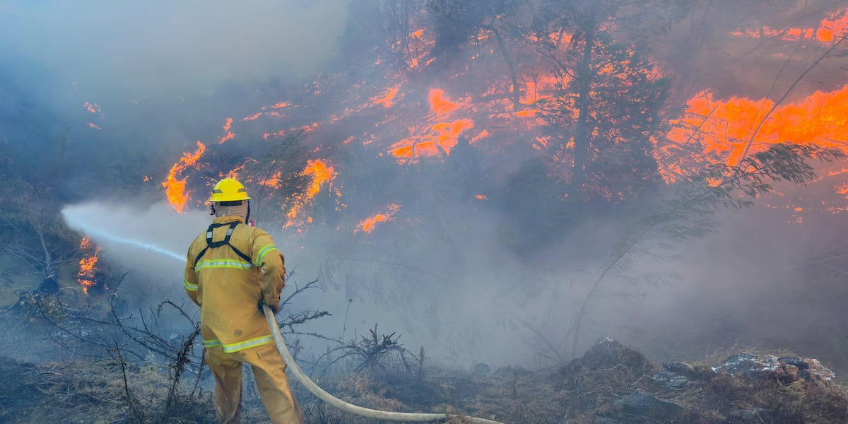 State releases findings of long-awaited phase one probe on devastating Maui wildfires [Video]