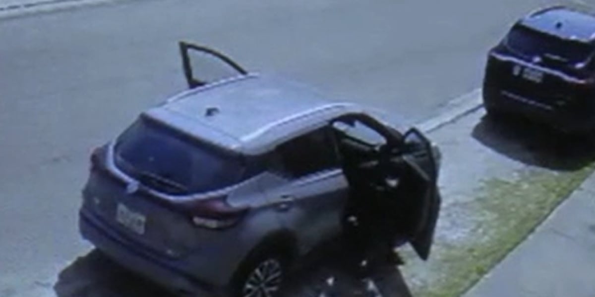Increased carjackings prompt warning to parents before your family becomes a victim [Video]