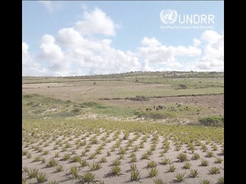 How can risk information prepare Madagascar against cyclones and droughts? | UNDRR [Video]