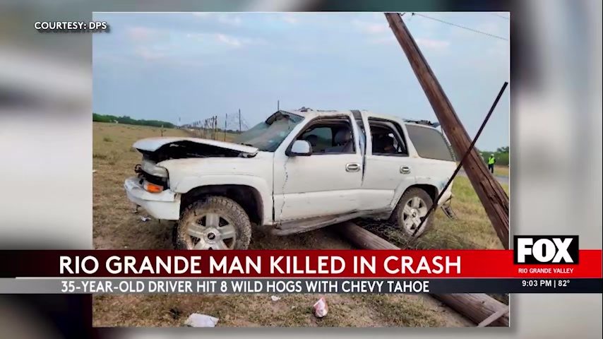 Tragic Collision: Starr County Man Killed After Striking Wild Hogs [Video]