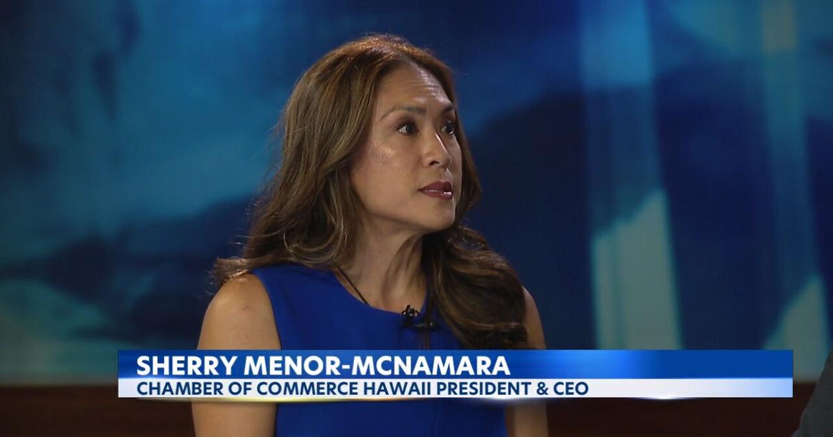 Hawaii Chamber of Commerce president discusses new federal grant program aimed at helping Maui’s recovery | News [Video]