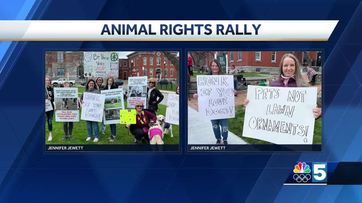 Animal advocates push for stricter animal cruelty laws in Clinton County [Video]