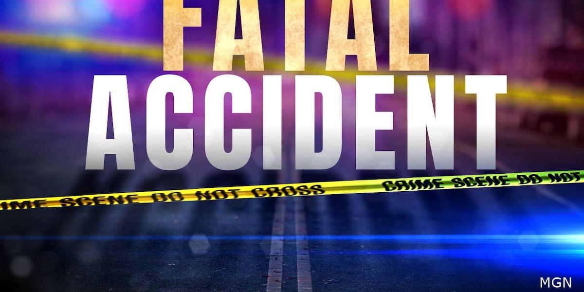 Pekin man dies in rural Peoria County crash [Video]