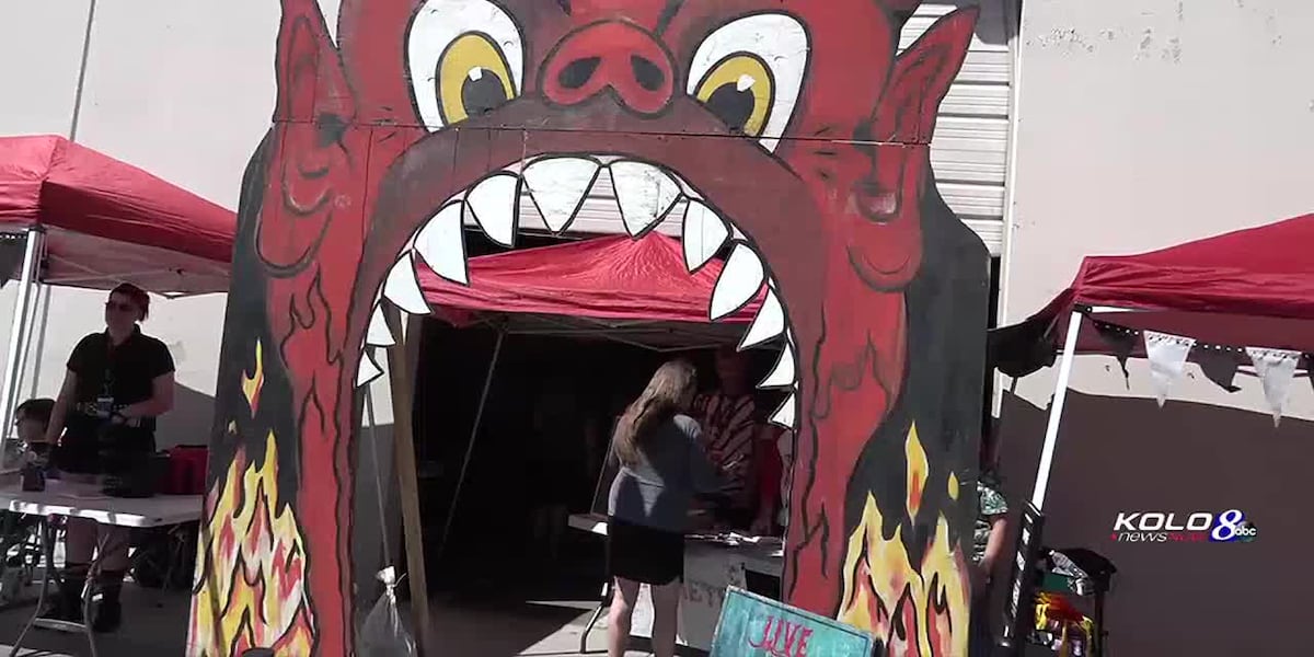 Reno Punk Rock Flea Market hosts biannual fundraiser [Video]