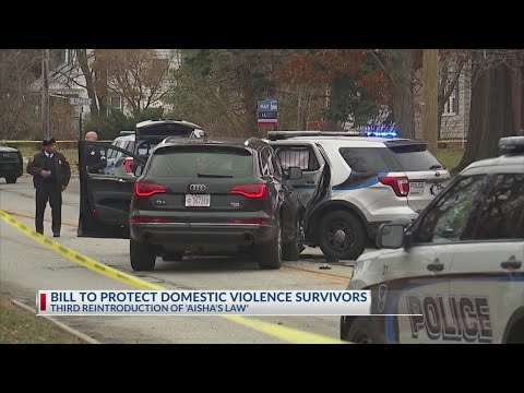 Bill aiming to protect domestic violence survivors reintroduced for third time [Video]
