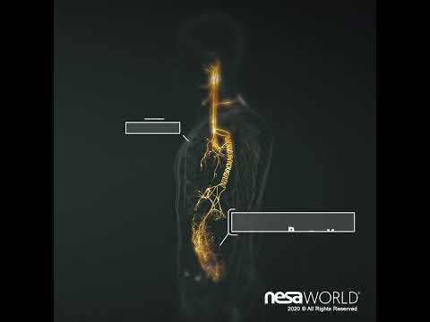 Discover the Future of Health: NESA® Technology Revolutionizes Neuromodulation [Video]