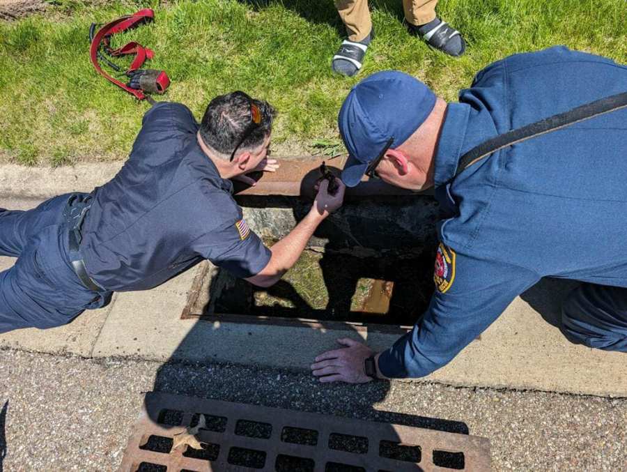 Ducklings rescued from storm drain, returned to mom [Video]