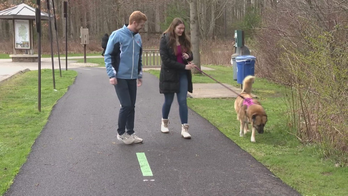 One-of-a-kind facility helps traumatized and fearful dogs learn to trust humans: Ready Pet GO! [Video]