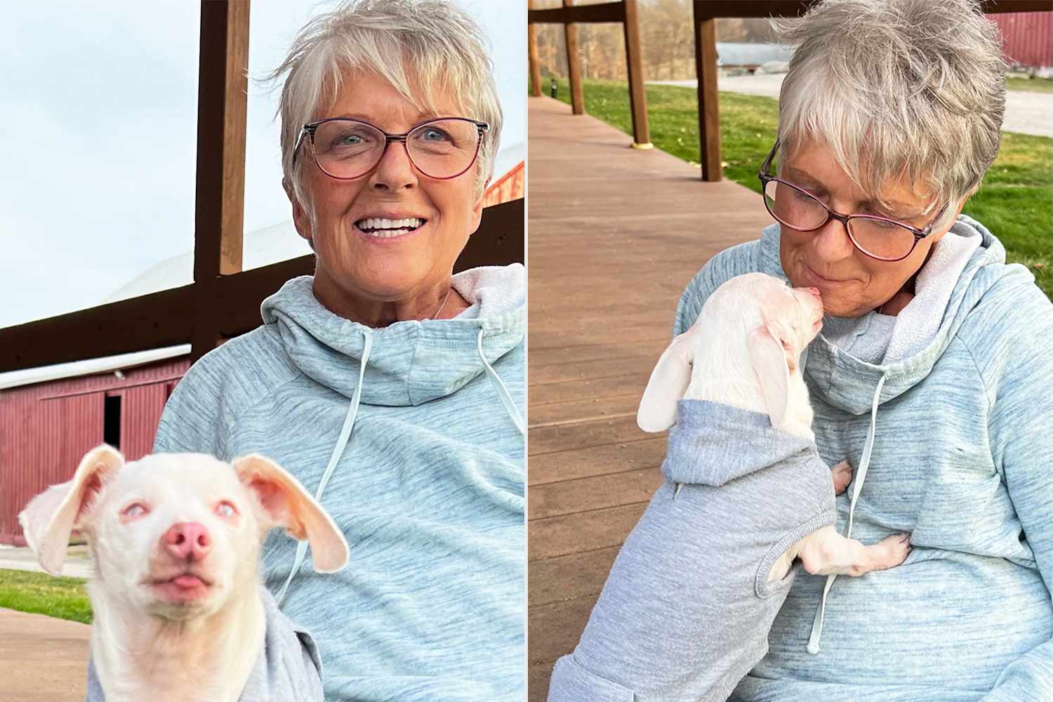 Blind, Deaf Dog Piglet Meets Fan He Helped Out of ‘Very Dark Place’ [Video]