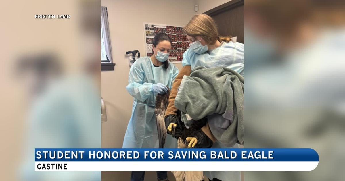 Maine Maritime student honored for saving injured bald eagle | Local News [Video]