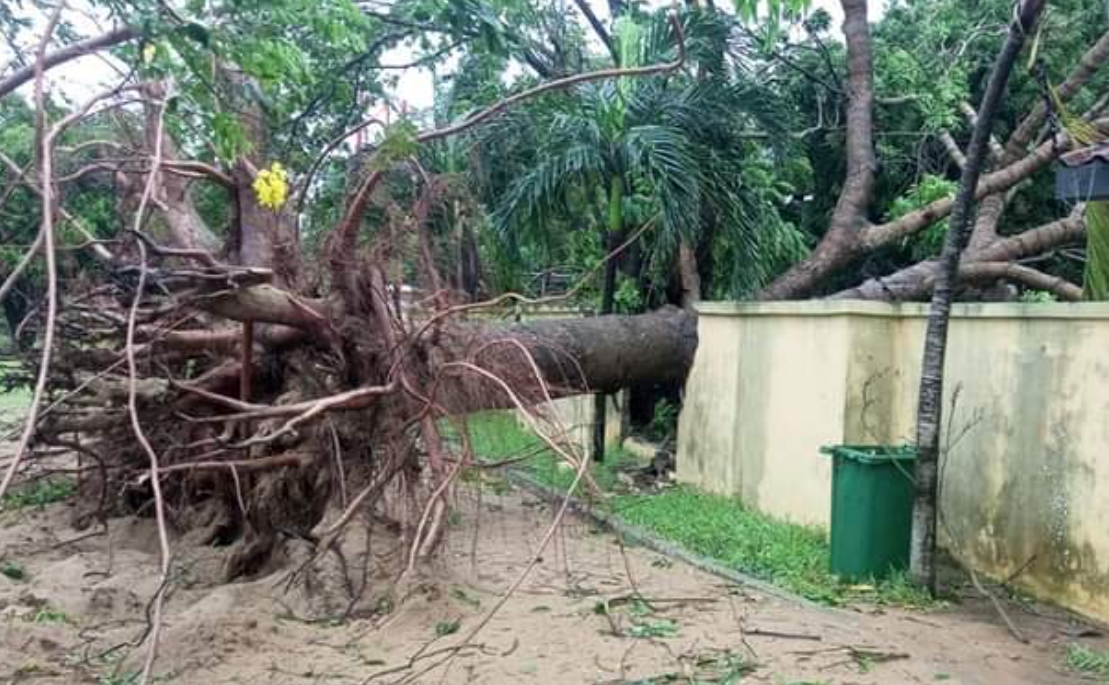 Residents of Keta and Anloga count losses after severe rainstorm [Photos] [Video]