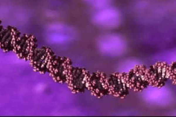 Visualizations of DNA – American Chemical Society [Video]