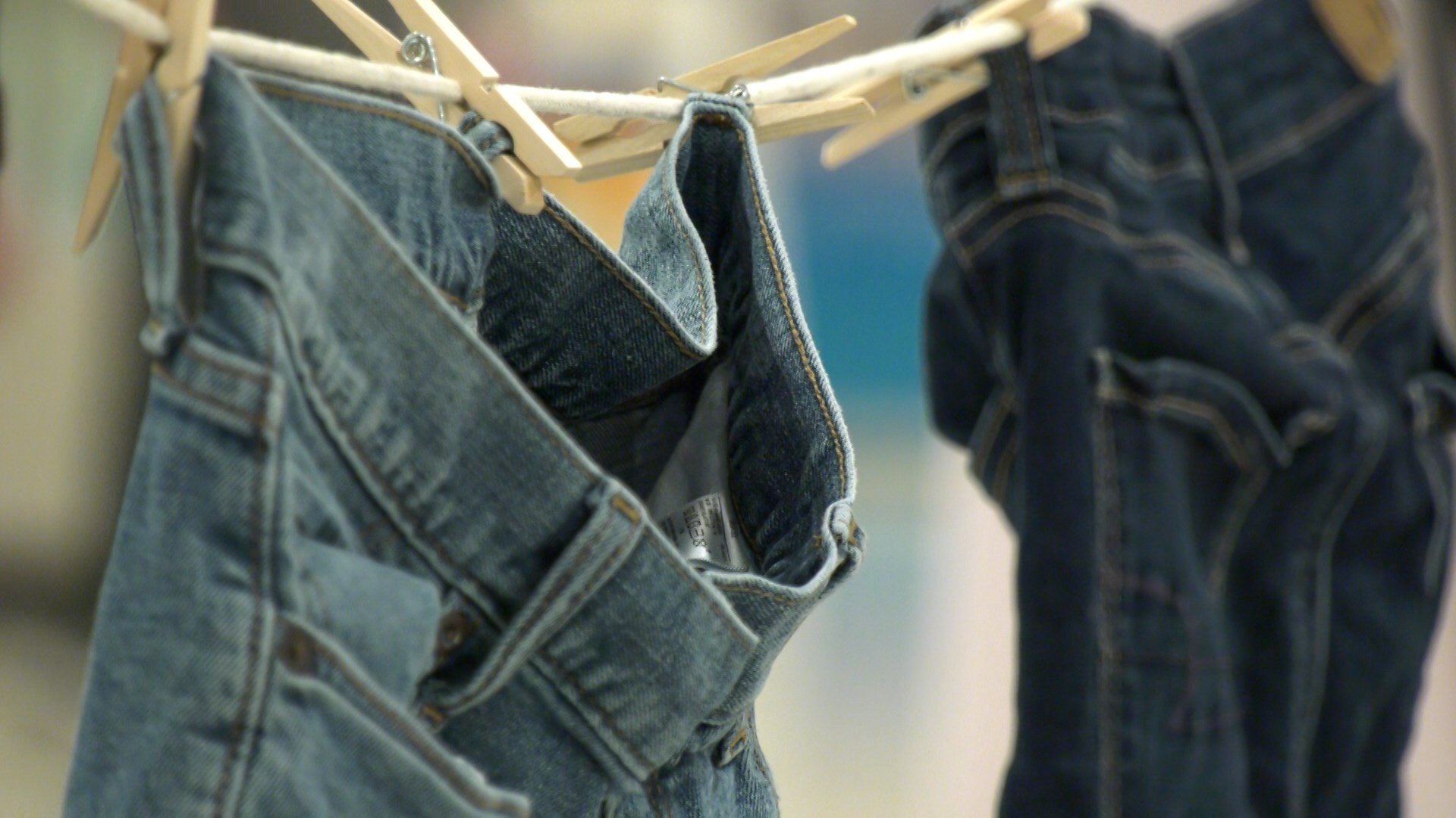 Denim Day in Albany – Erie News Now [Video]
