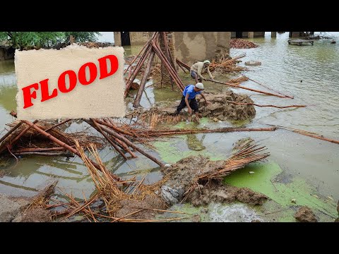 Understanding Floods | Natural Disaster | Causes, Impact, and Prevention | English Story TV [Video]