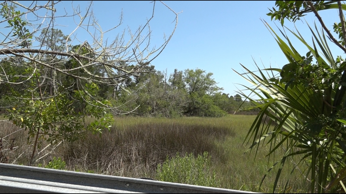 St. Augustine buys last developable acreage of Fish Island [Video]