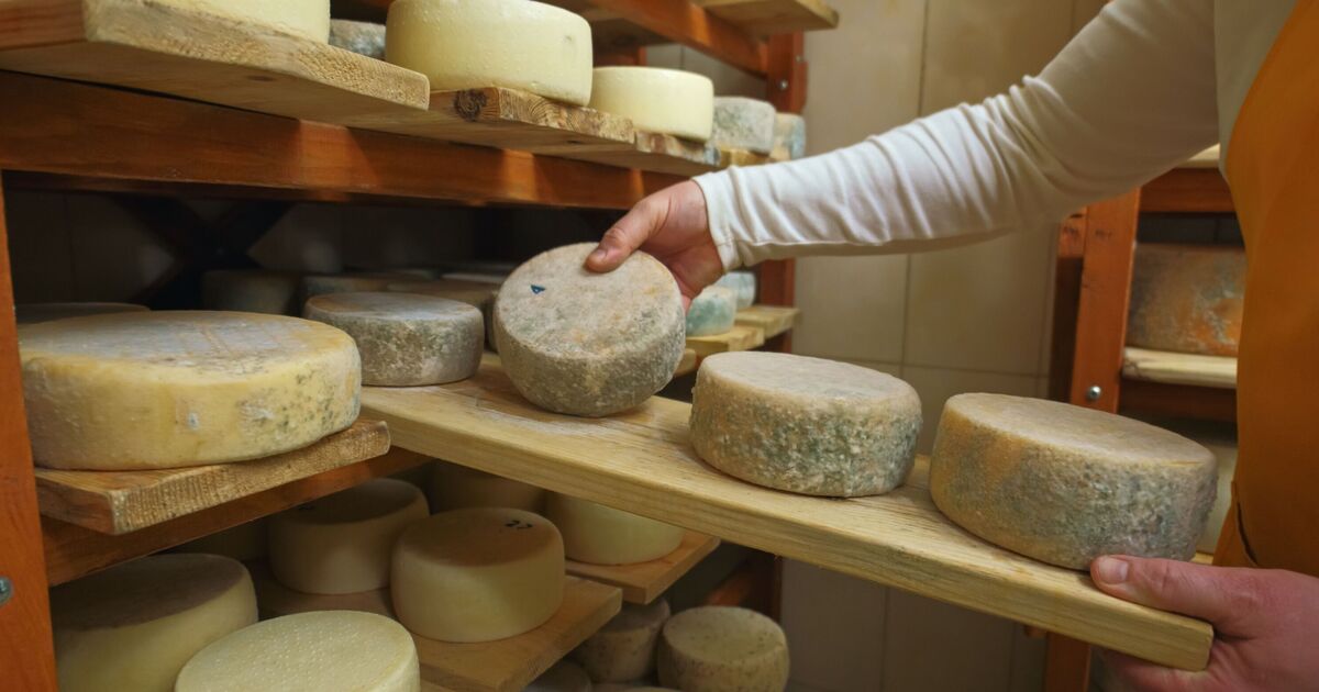 Store cheese the right way depending on its type with simple methods so it lasts longer [Video]